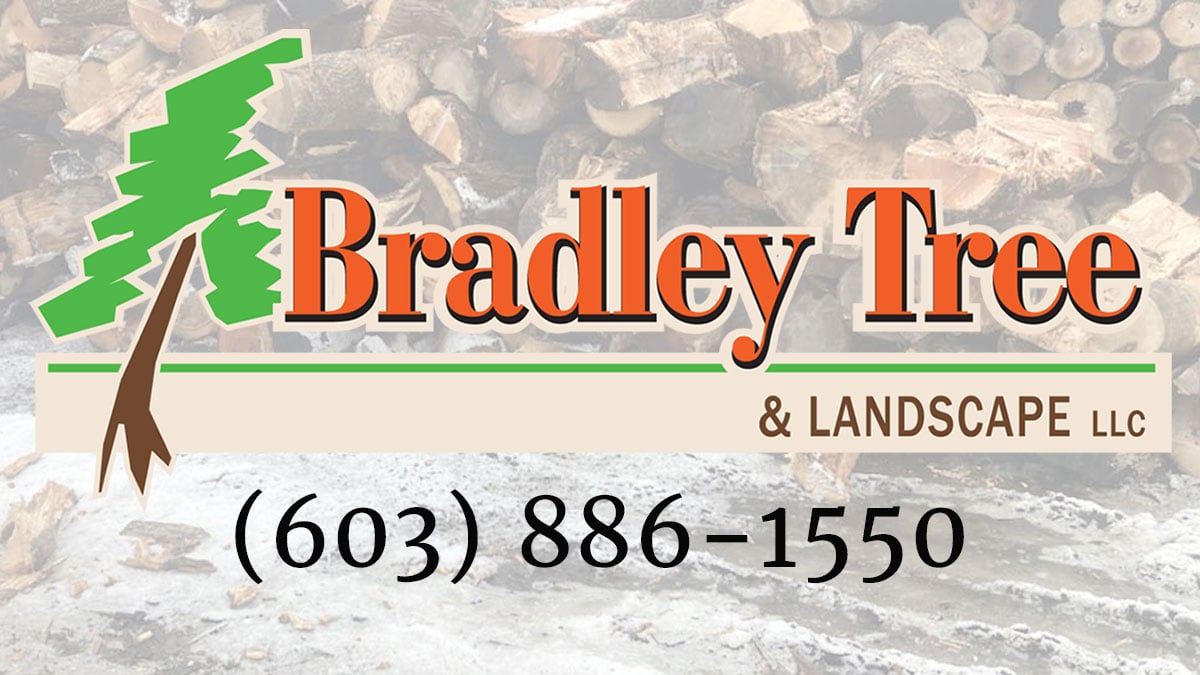 Bradley Tree and Landscape - NH Full Service Tree Care Company