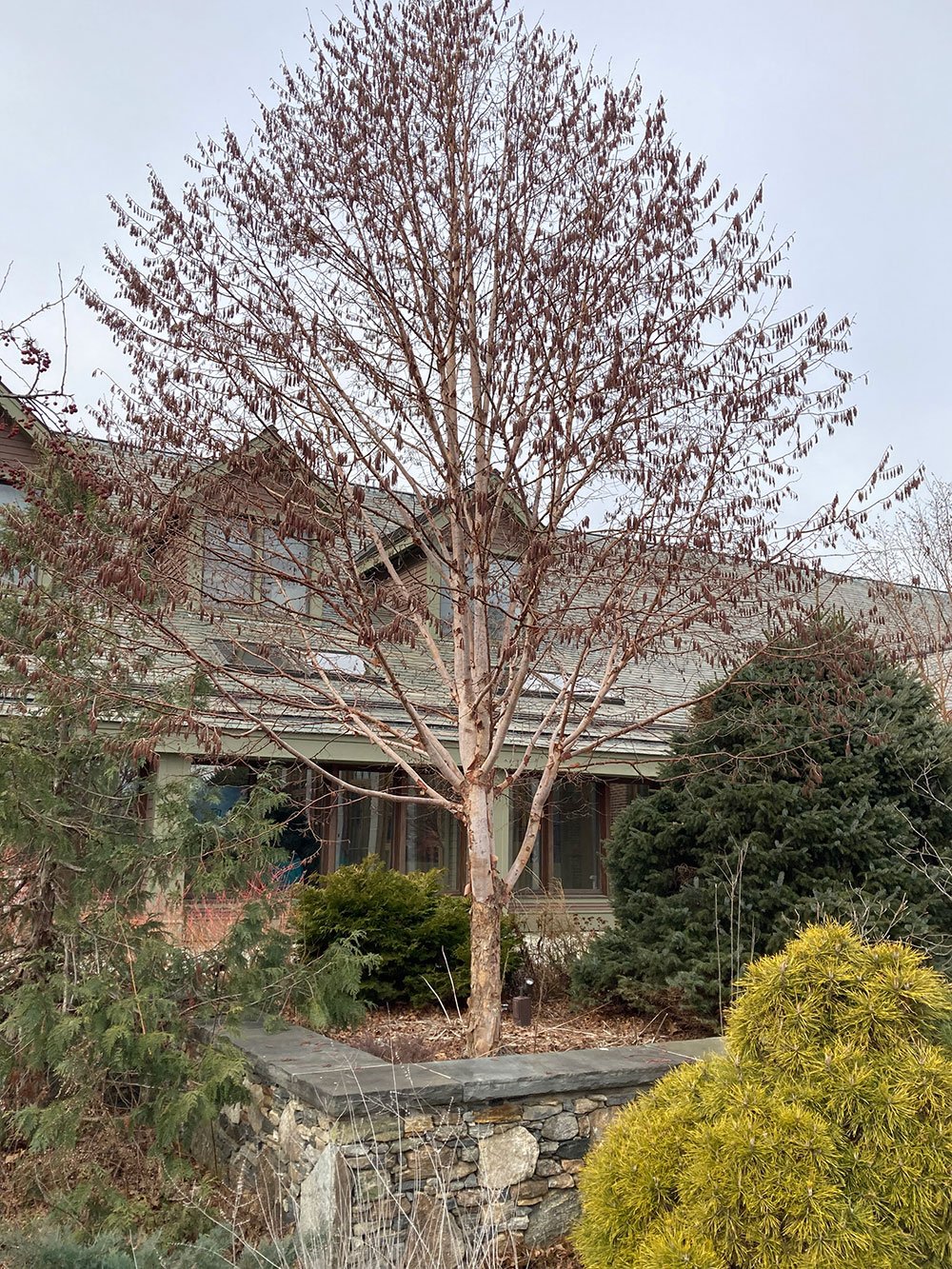 What’s an Arboretum?